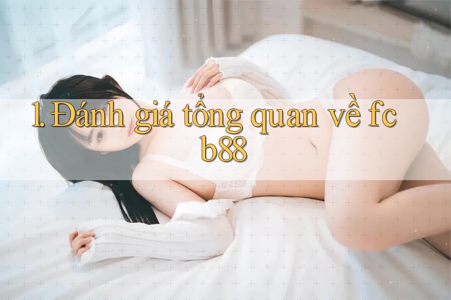 1. Đánh giá tổng quan về fcb88