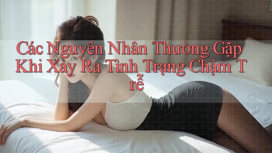 Các Nguyên Nhân Thường Gặp Khi Xảy Ra Tình Trạng Chậm Trễ Các Nguyên Nhân Thường Gặp Khi Xảy Ra Tình Trạng Chậm Trễ