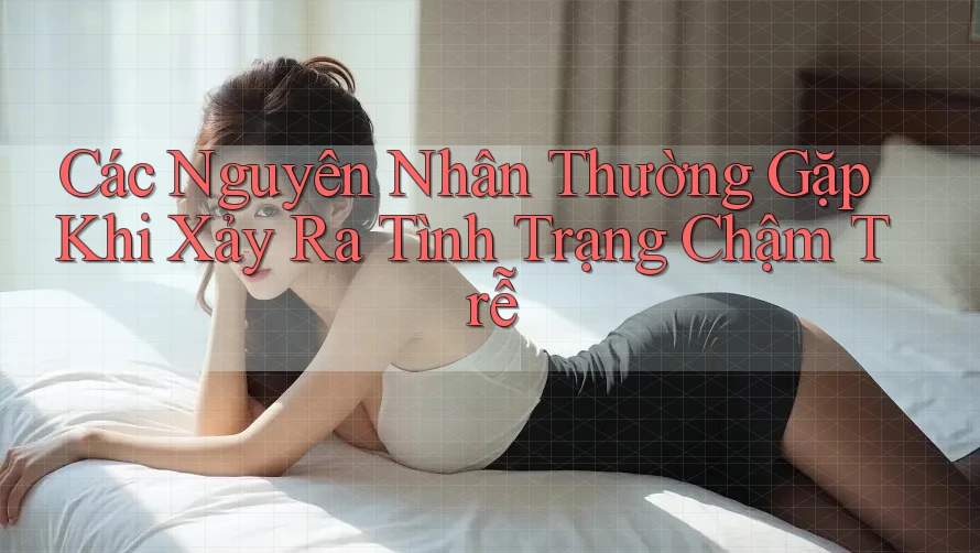 Các Nguyên Nhân Thường Gặp Khi Xảy Ra Tình Trạng Chậm Trễ Các Nguyên Nhân Thường Gặp Khi Xảy Ra Tình Trạng Chậm Trễ